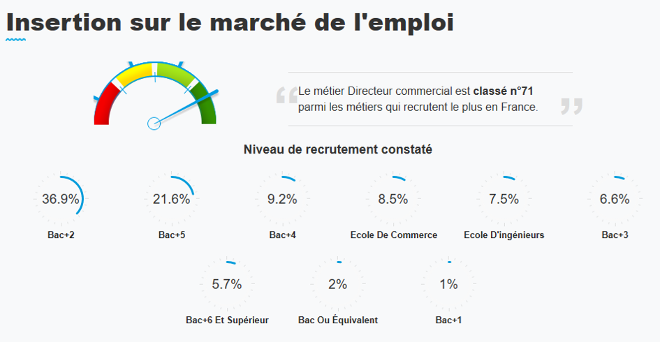 devenir directeur commercial