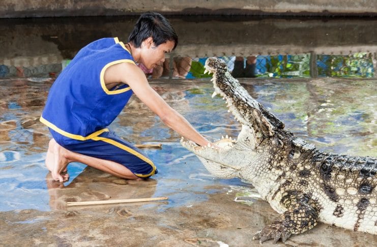 Entrepreneur : préparez-vous à affronter les risques du métier