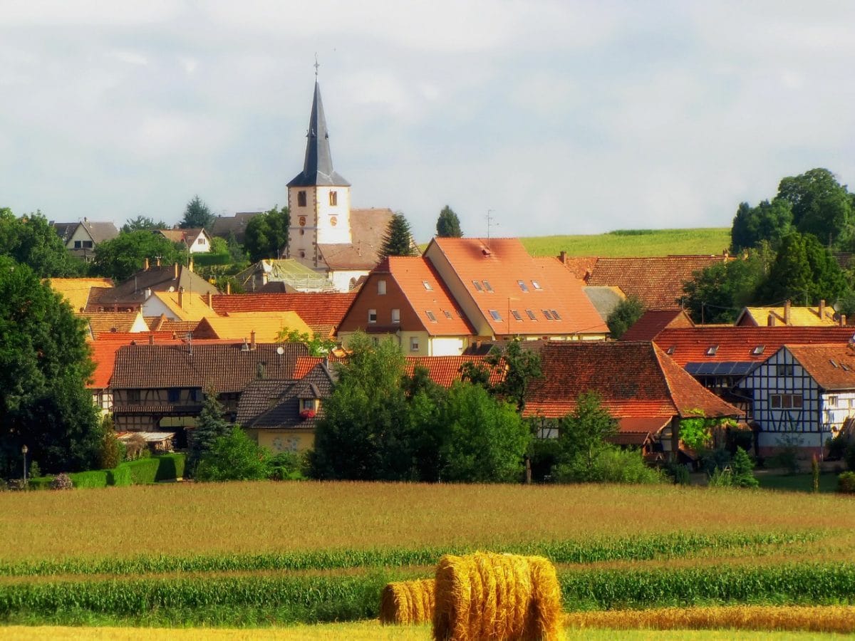 photo de la campagne