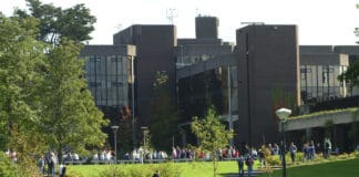 Les entreprises qui attirent le plus les étudiants