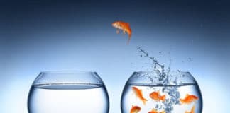 Accompagner le changement : droit à l’erreur et feedback Accompagner le changement