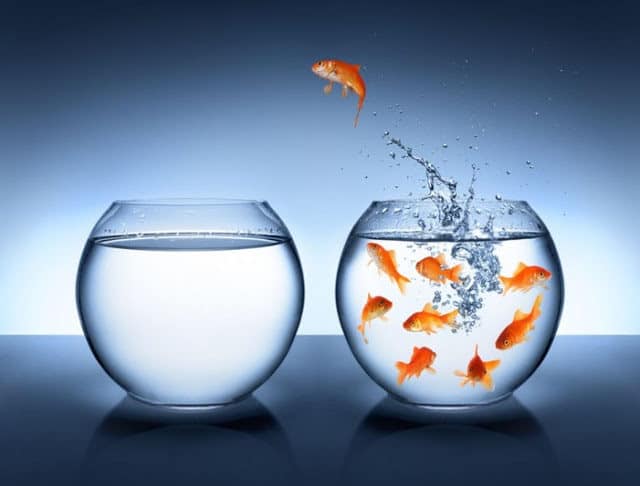 Accompagner le changement : droit à l’erreur et feedback Accompagner le changement