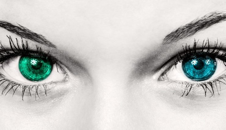 Citations certifiées sur l’assurance