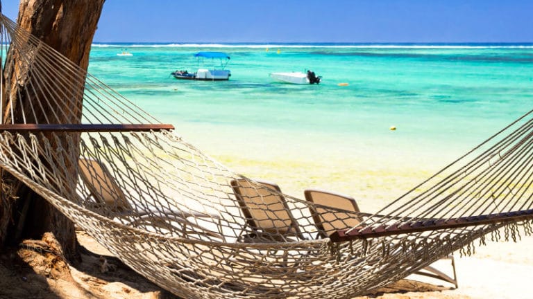 Paresse et paresseux : les citations les plus nonchalantes