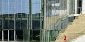 Lean management/entreprise libérée: même combat ?