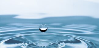 Journée mondiale de l'eau