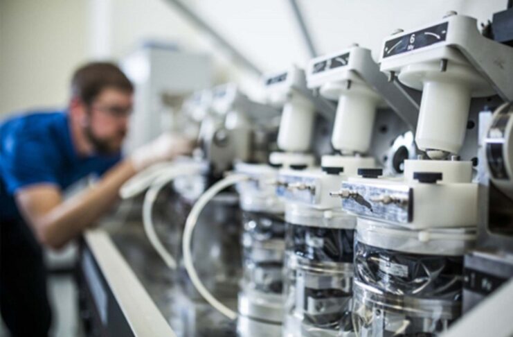 Les TPE championnes de la création d’emplois Les TPE championnes