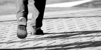 La fraude aux aides à l’emploi