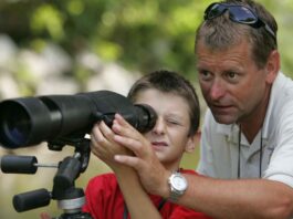 Manager équipe et enfants