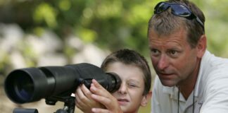 Manager votre équipe et vos enfants…même combat ! Manager équipe et enfants