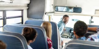 Permis D1 et solution écologique
