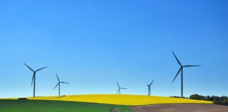 Développement durable et décision