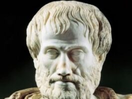 Aristote et le management