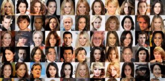 Les 537 professionnels