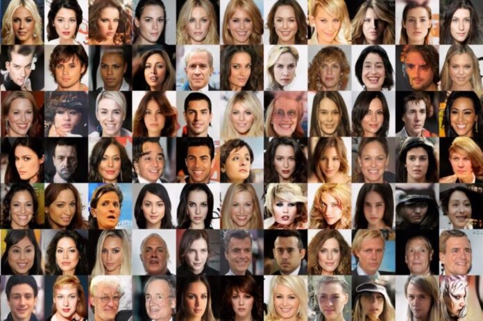 Les 537 professionnels