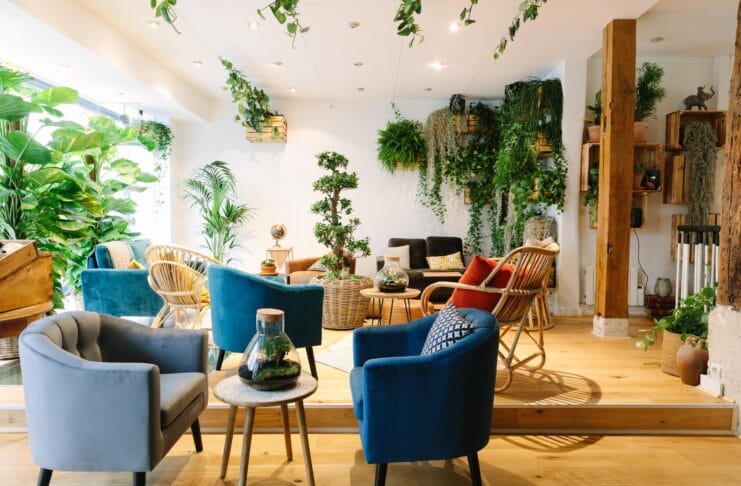 Entreprises et institutions : comment réussir la décoration de vos bureaux avec des plantes ? ba7fc9d9cfd29d42e7d270d074c5f64f