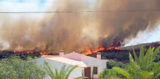 Réchauffement climatique et digital CreditPhoto Depositphotos