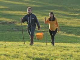 Le Cantal, terre d’opportunités