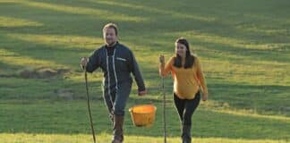 Le Cantal, terre d’opportunités pour de nouveaux exploitants agricoles Le Cantal, terre d’opportunités