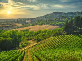 Tout plaquer pour entreprendre à la campagne conseils pour réussir Credit Depositphotos