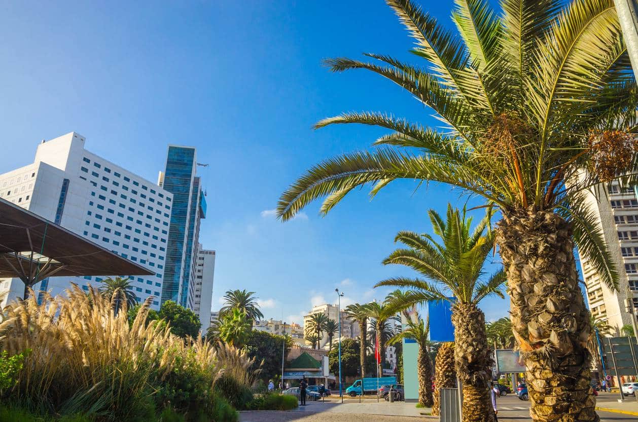 Marché Maroc référencement naturel SEO