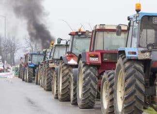 Colère des agriculteurs Depositphotos_veverve