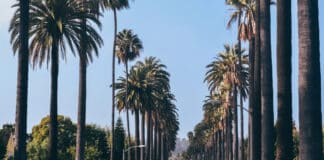 Gagnez 130 milliards de $ comme Warren Buffett : ses meilleurs conseils Gagnez 130 milliards de $ Depositphotos_zamogitnykh