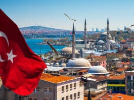 L'entrepreneuriat à l'étranger : focus sur les perspectives en Turquie Depositphotos_seqoya-scaled.jpg