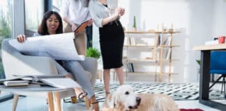 Les animaux de compagnie, de véritables atouts pour l’entreprise ! Depositphotos_ ArturVerkhovetskiy