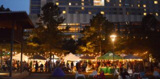 Organisez tous vos événements à l’abri grâce au barnum Organisez tous vos événements