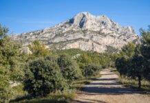 Team building RSE en Provence