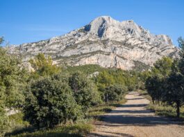 Team building RSE en Provence