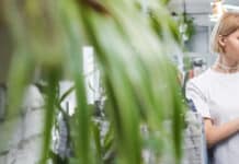 Achats, Approvisionnement et Relations Fournisseurs Depositphotos_