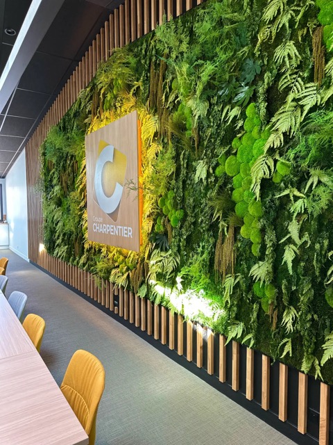 comment-reussir-la-vegetalisation-de-ses-bureaux